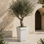 BorderFold Planter