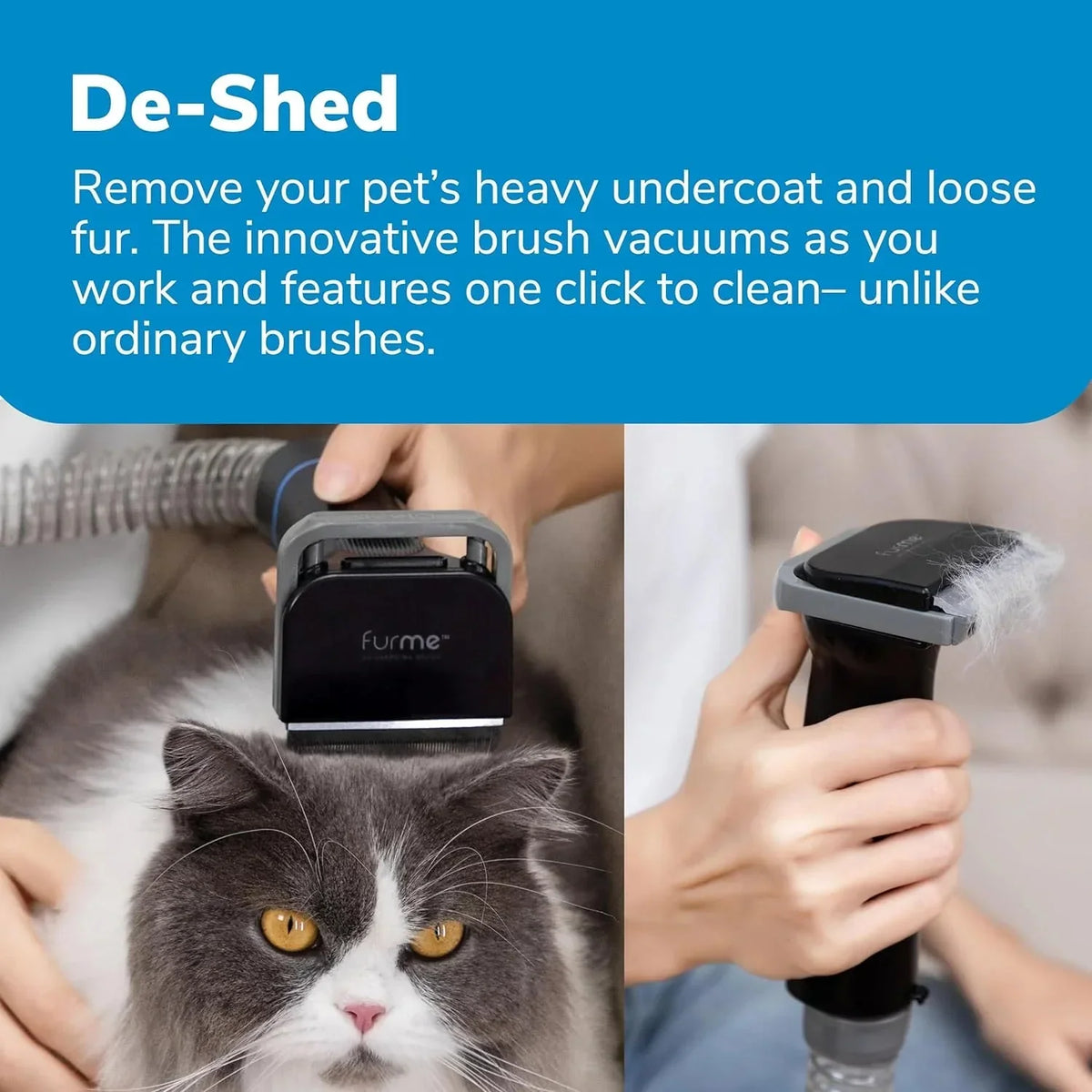 Professional Plus Pet Grooming Vacuum Kit, 5 Pet Grooming Tools, 2L Canister, Works for All Dogs, Cats, and Pet Fur