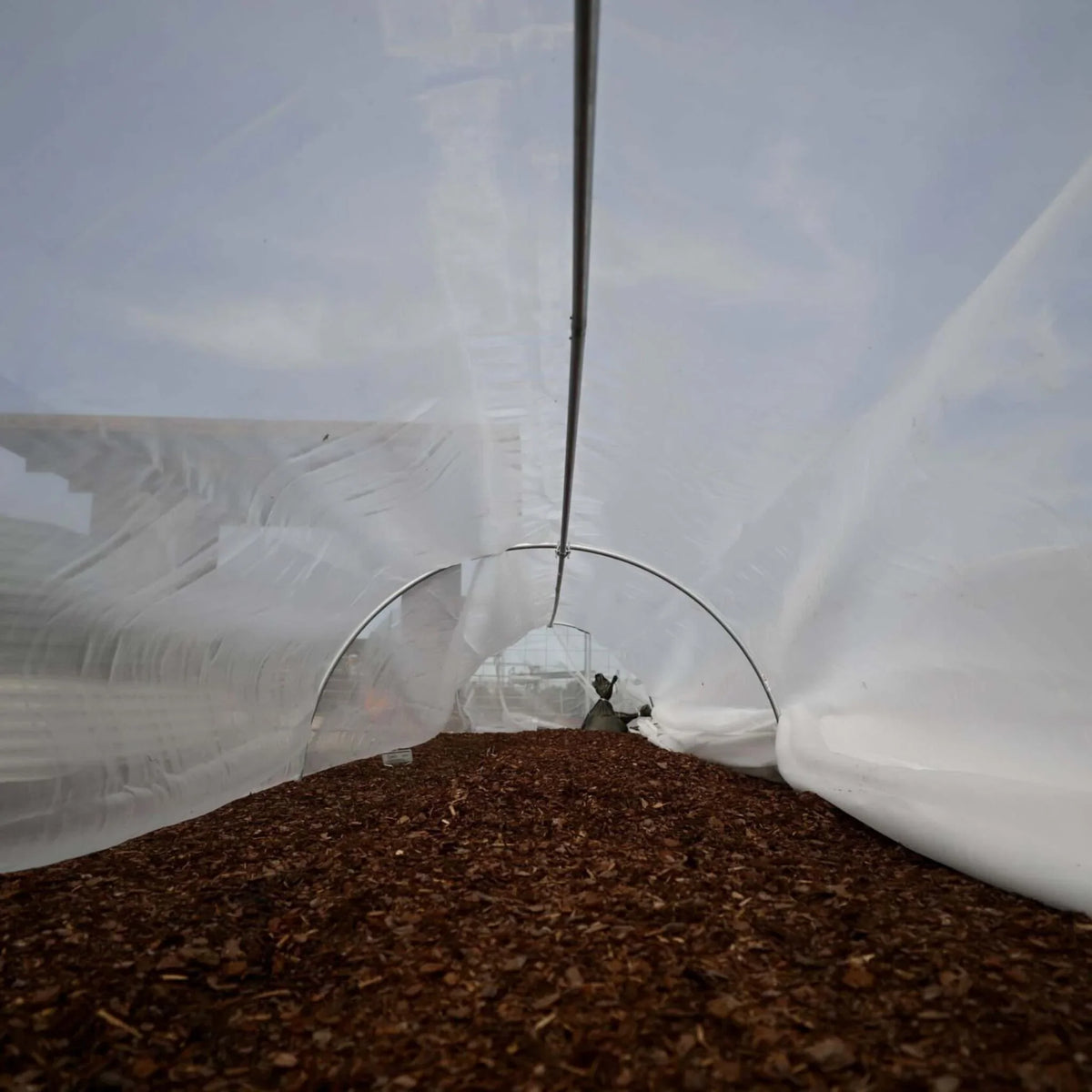 Heavy-Duty Insect Netting | 6.5' / 20'