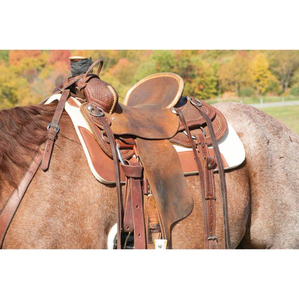 Weaver Leather Synergy Contoured Steam Pressed 100% Merino Wool Felt Performance Saddle Pad