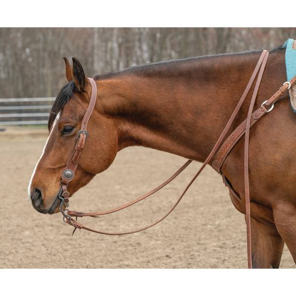 Weaver Leather 1" Contoured Sliding Ear Headstall