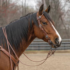 Weaver Leather 1" Contoured Sliding Ear Headstall