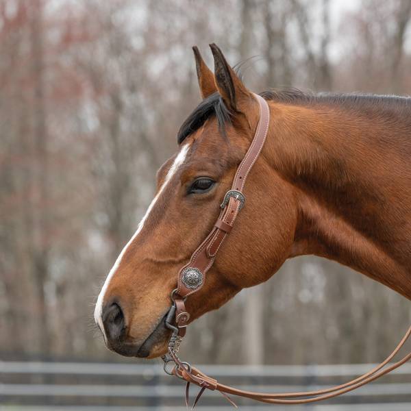 Weaver Leather 1" Contoured Sliding Ear Headstall