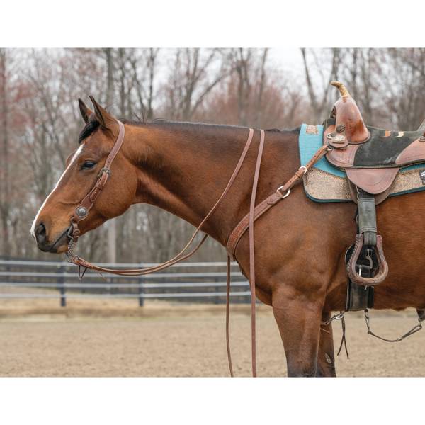 Weaver Leather 1" Contoured Sliding Ear Headstall