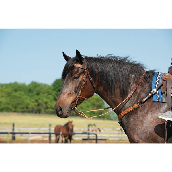 Weaver Leather Floral Buckstitch 5/8" Headstall