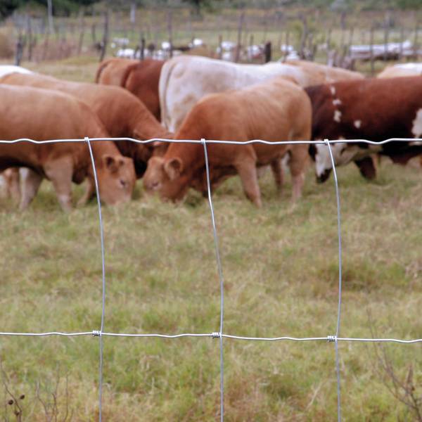 Rangemaster 939-6-12.5 Field Fence Class 1 330' roll
