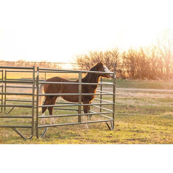 Behlen Country 60" x 12' Green Prairie Panels