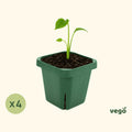 Extra-Large 5" x 5" Seedling Pot - 4 Pack