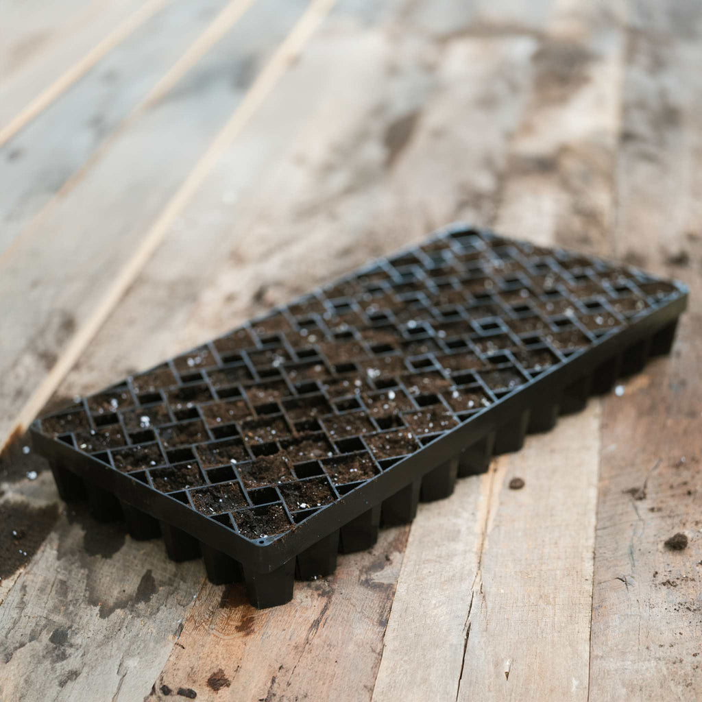 Air Prune Heavy Duty Propagation Tray - 72 Cell | 1 Tray / Black