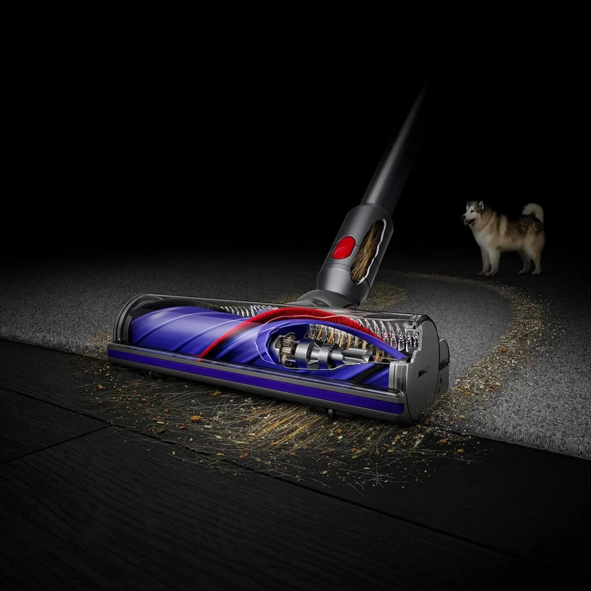 V8 Cordless Vacuum Cleaner