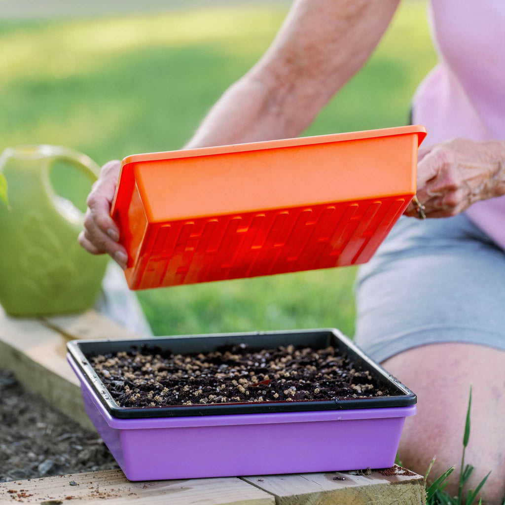 1010 Trays 2.5" Deep - Extra Strength | 10 Trays / Multicolor / With Hole