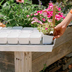 3.3" Heavy Duty Seed Starting Pots with Inserts | White / 36 pots - 2 inserts