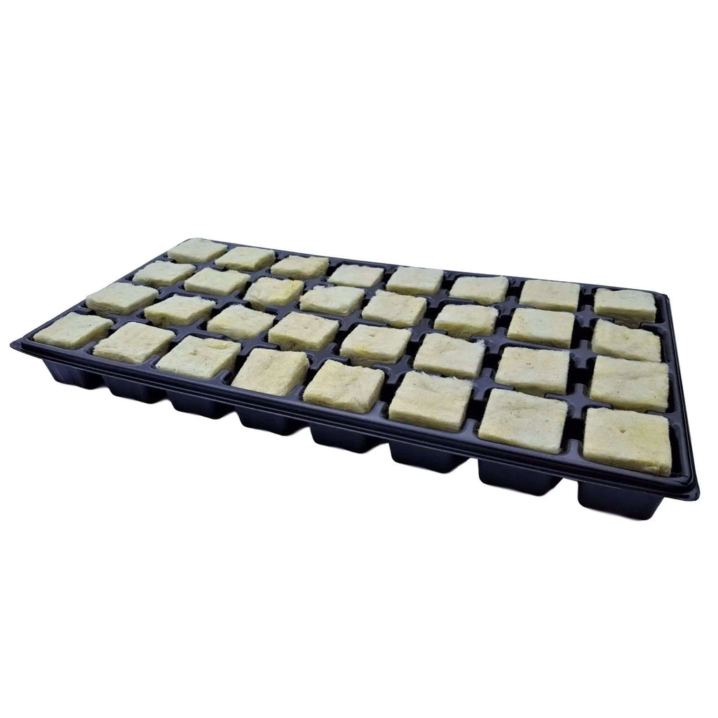 Seed Starter Trays - 32 Cell | 1 Tray