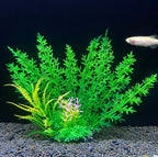 Fish Tank Decoration Artificial Aquarium Plant Plastic Water Plant