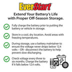 EverStart Platinum BOXED AGM Power Sport Battery, Group Size TX14 12 Volt, 200 CCA