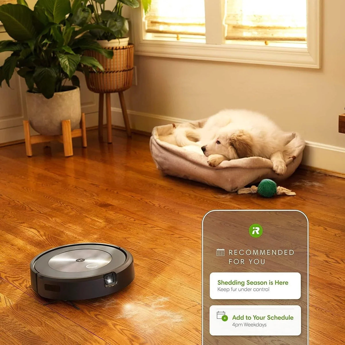 j7+ Self-Emptying Robot Vacuum, Renewed