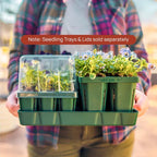 Bottom Watering Tray - 10 in x 20 in | 8 Pack