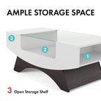 Angelic Contemporary Storage Coffee Table with Glass Insert by Furniture of America