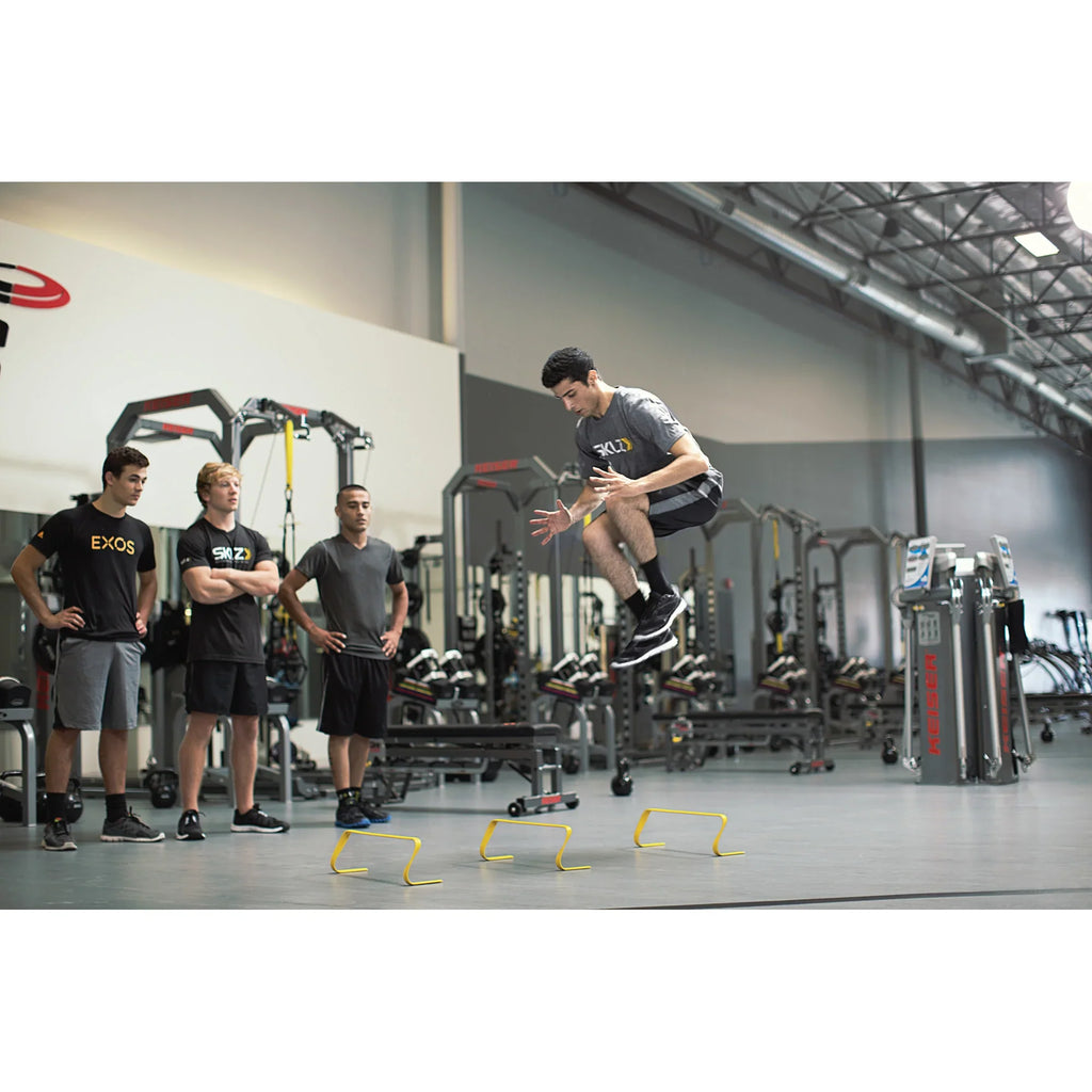 6X Hurdles