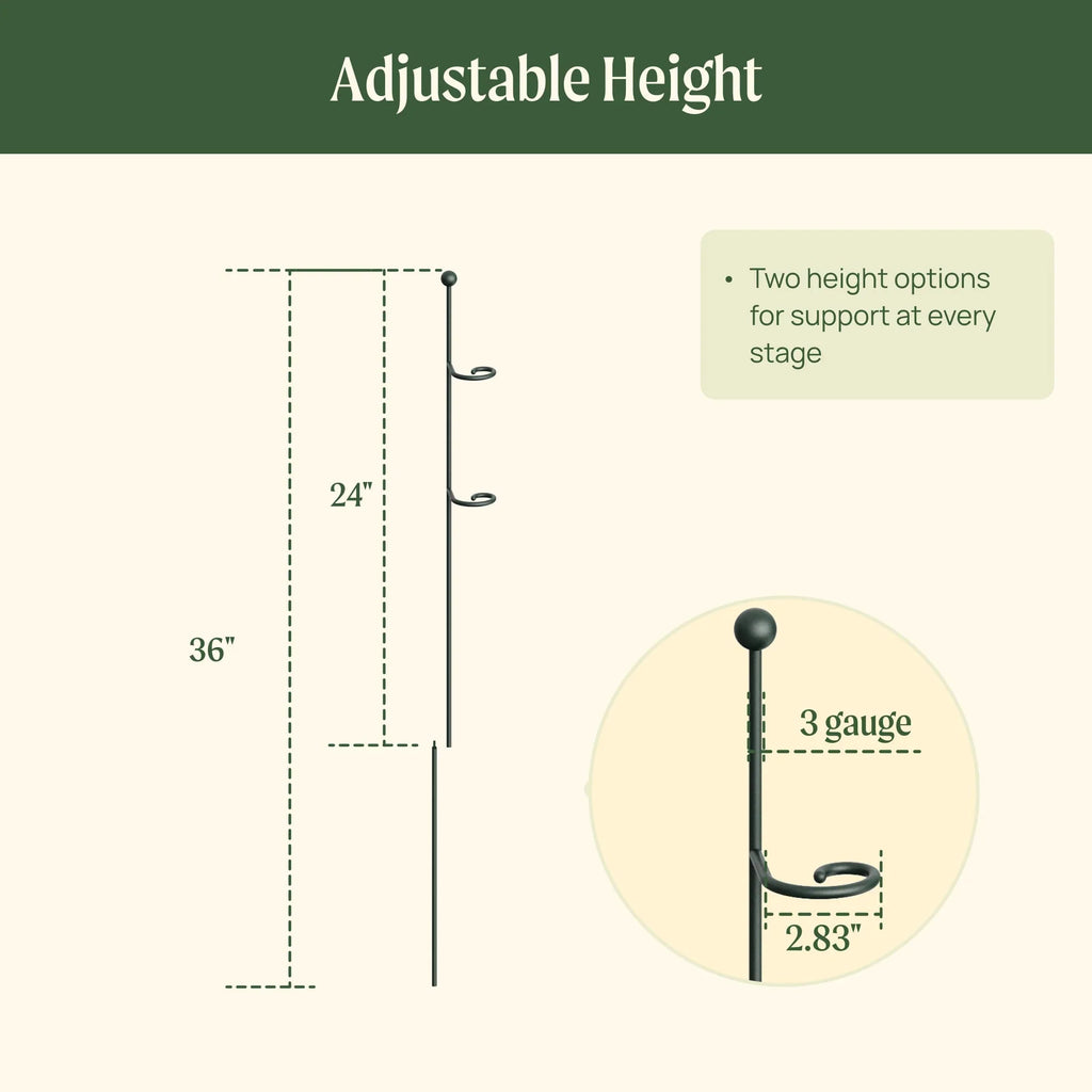 Single Stem Plant Support Loop - 3 Pack
