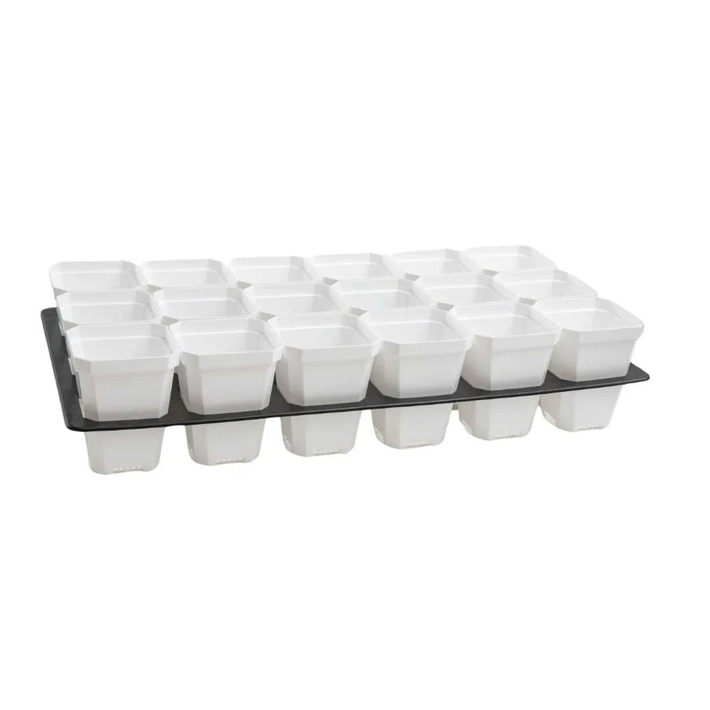 3.3" Heavy Duty Seed Starting Pots with Inserts | White / 36 pots - 2 inserts