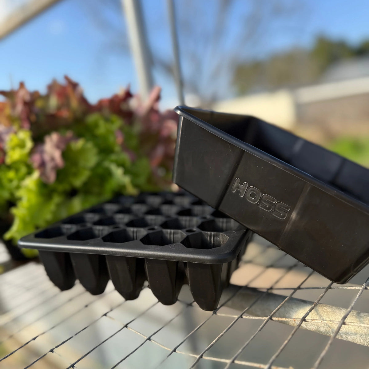 25 Cell Seed Starting Tray | 1 Pack